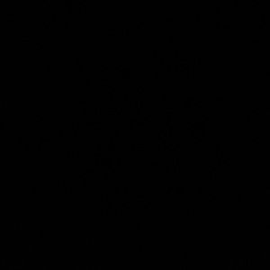 Meet your Posher, Tommy